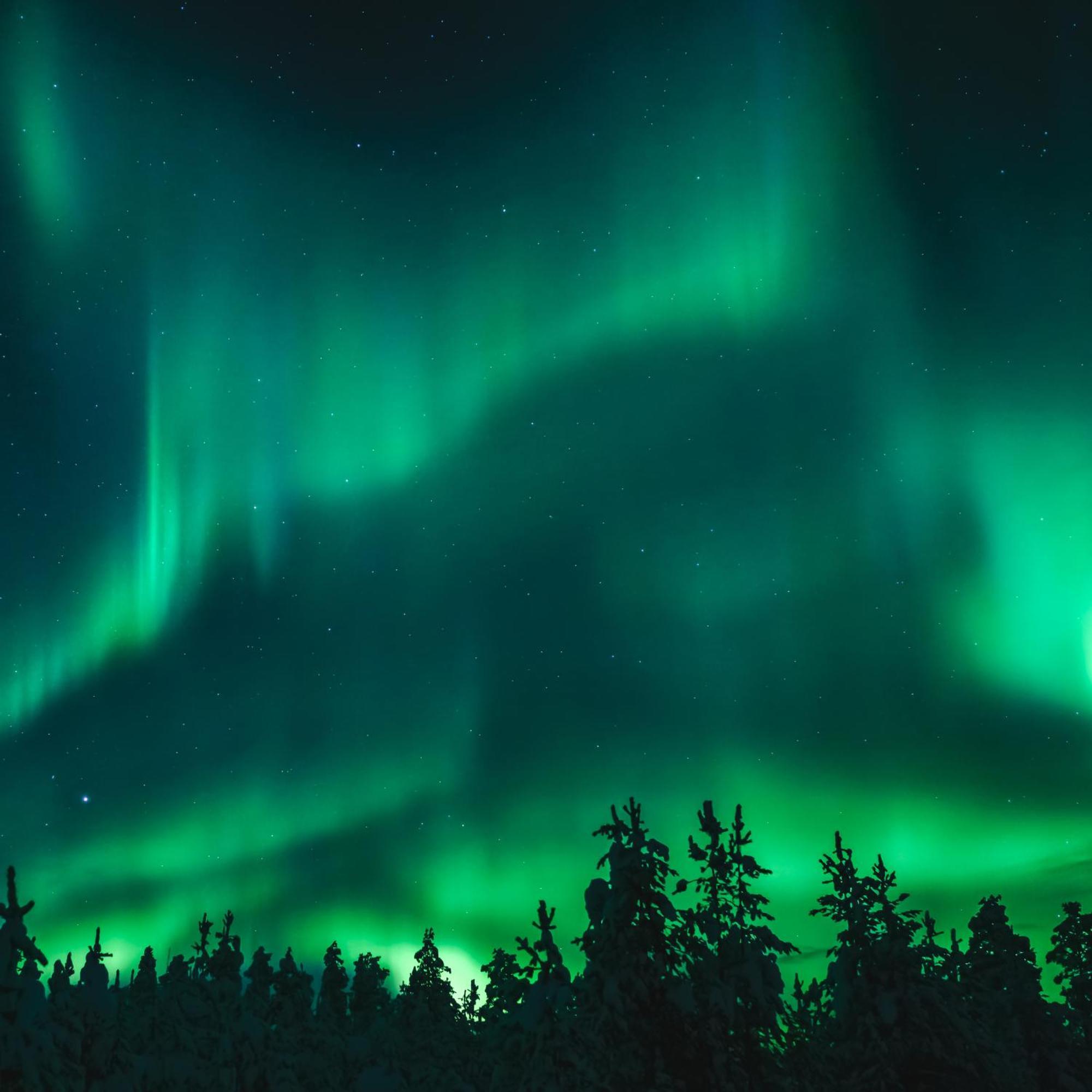 Willa Skog Aurora Igloos Kalix Zewnętrze zdjęcie