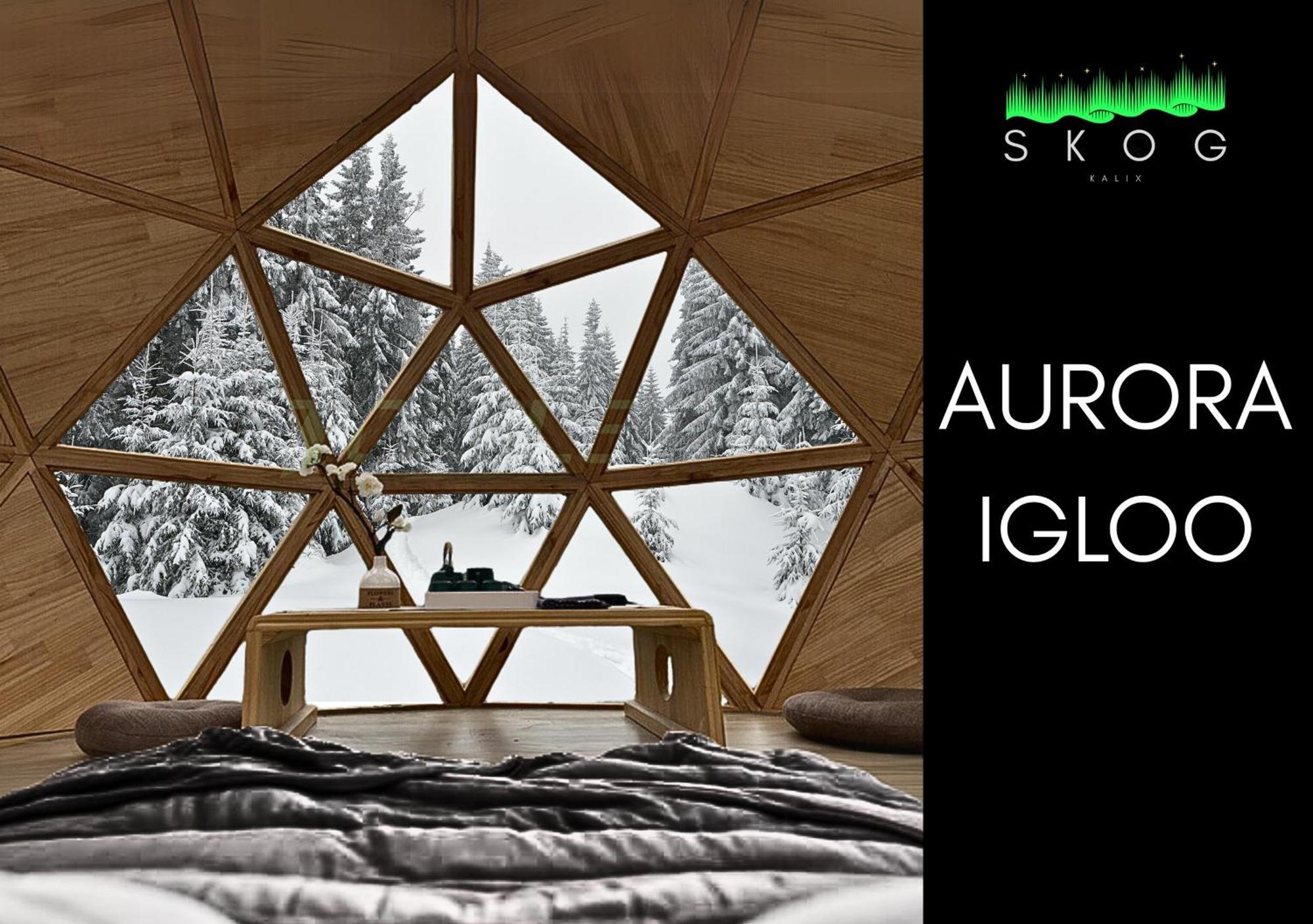 Willa Skog Aurora Igloos Kalix Zewnętrze zdjęcie