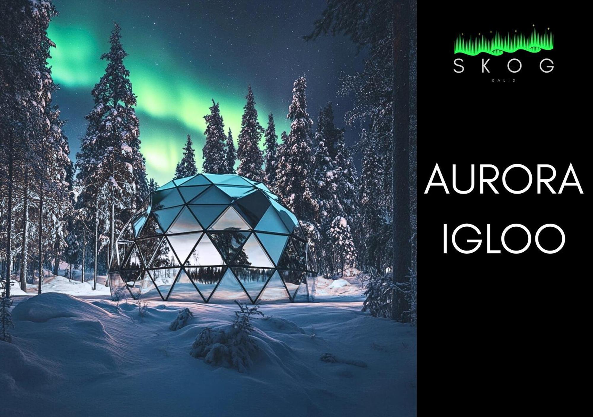 Willa Skog Aurora Igloos Kalix Zewnętrze zdjęcie