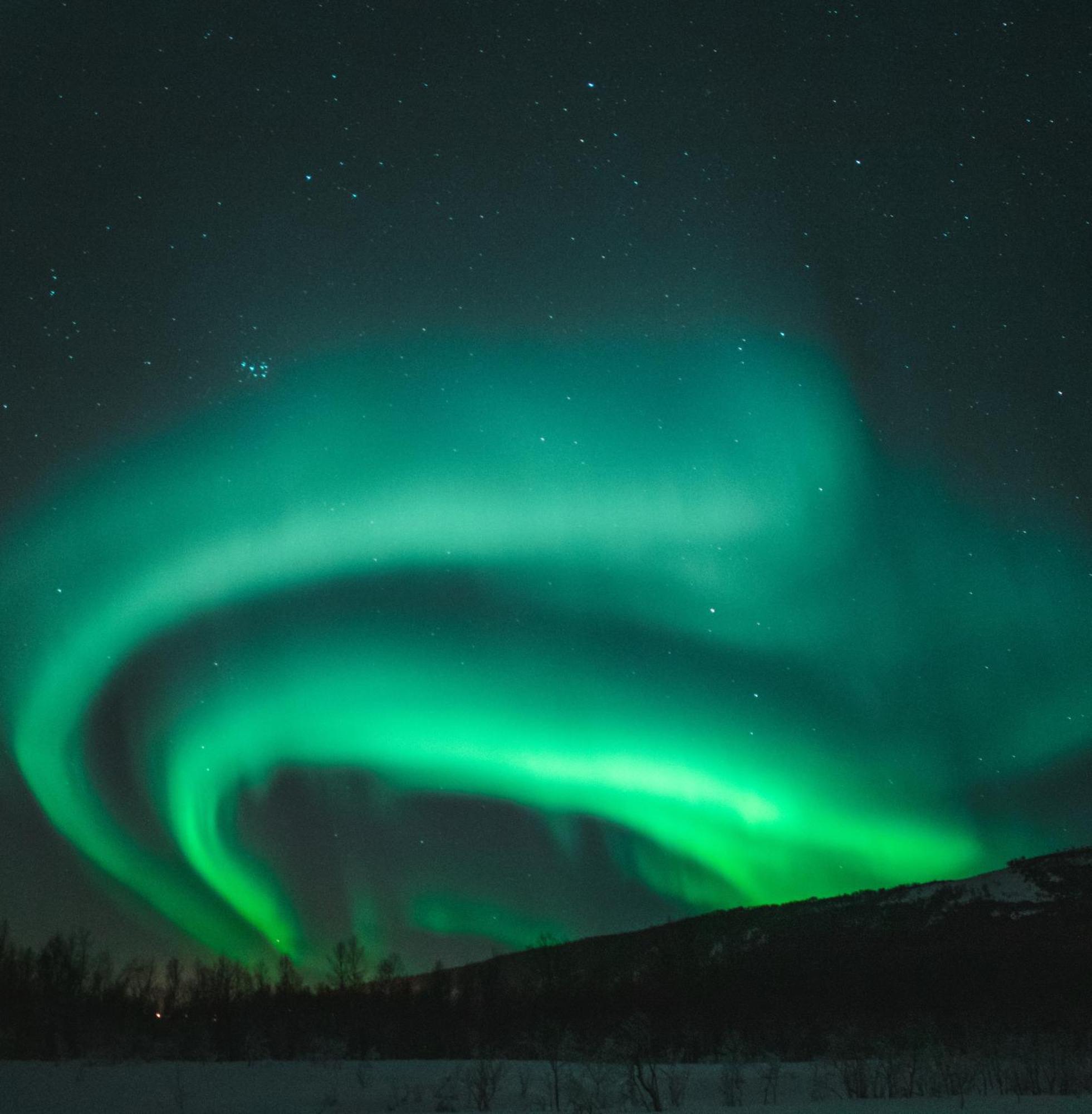 Willa Skog Aurora Igloos Kalix Zewnętrze zdjęcie