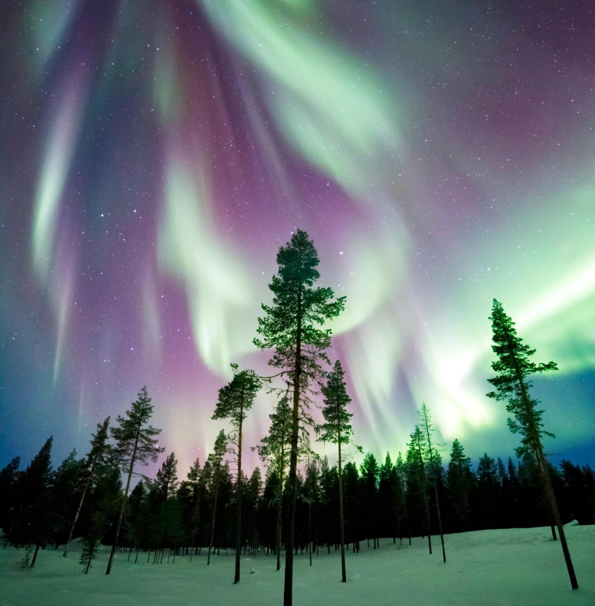 Willa Skog Aurora Igloos Kalix Zewnętrze zdjęcie