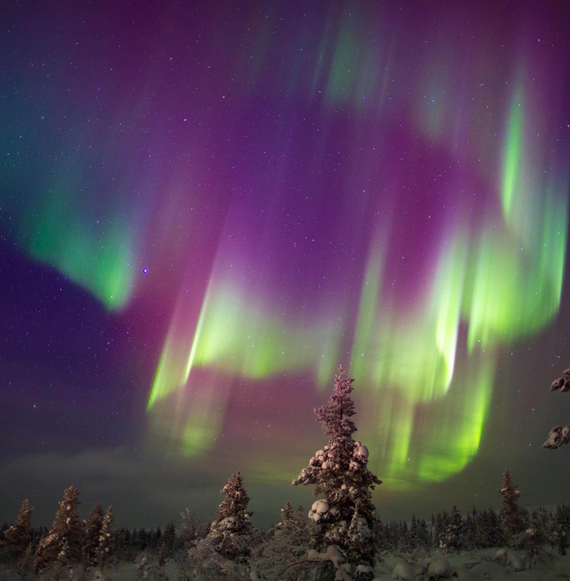Willa Skog Aurora Igloos Kalix Zewnętrze zdjęcie
