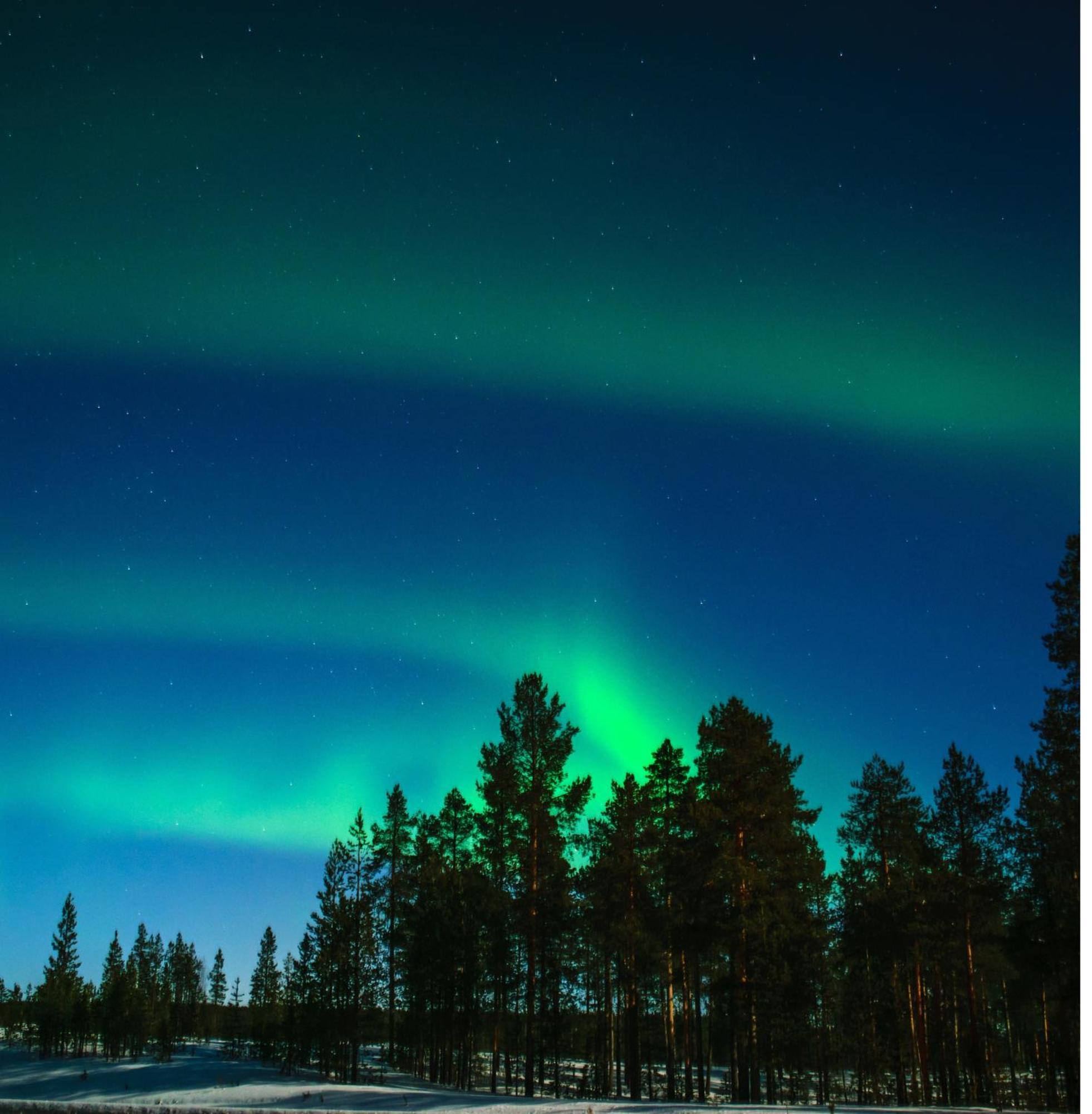 Willa Skog Aurora Igloos Kalix Zewnętrze zdjęcie