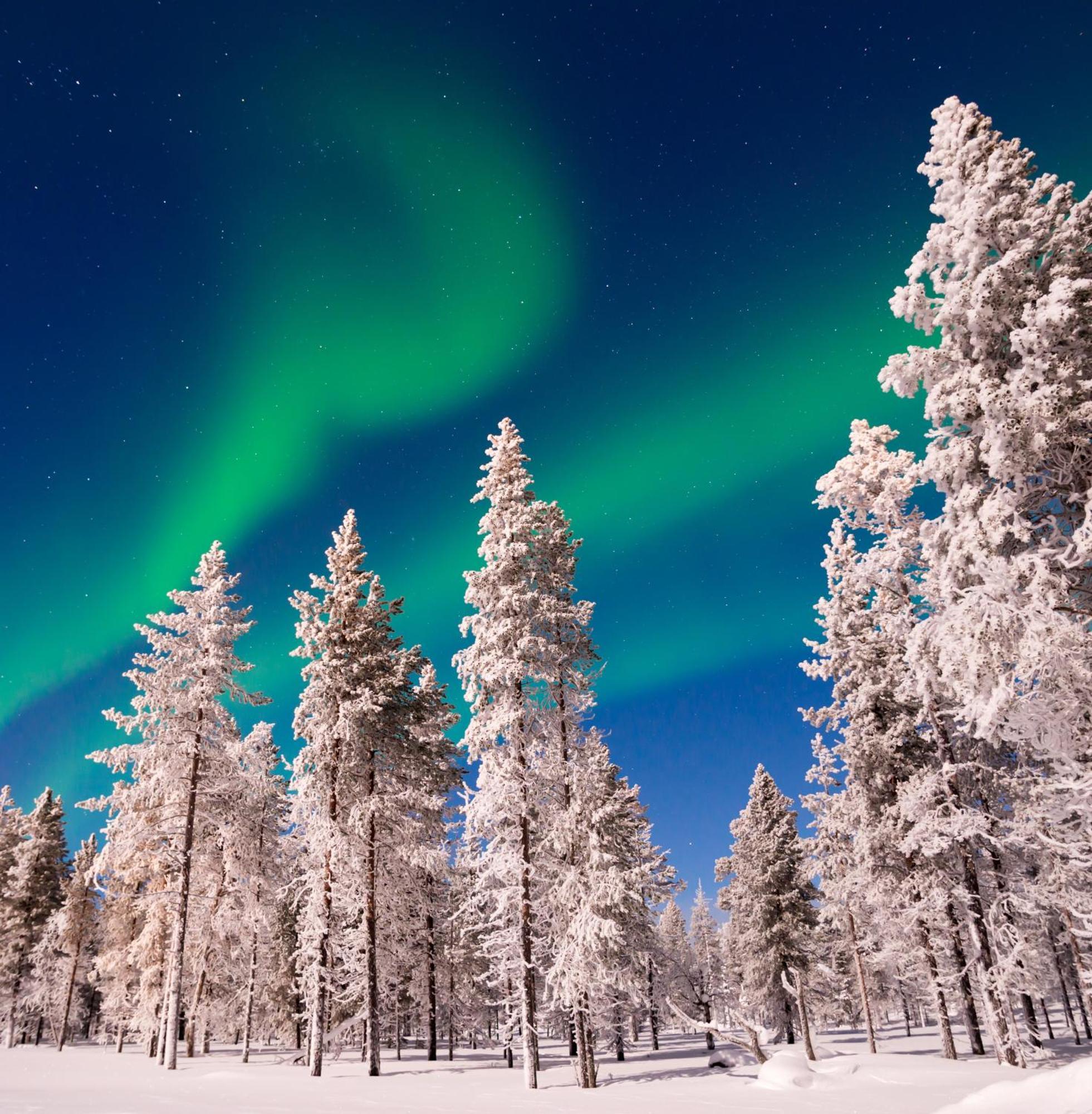 Willa Skog Aurora Igloos Kalix Zewnętrze zdjęcie