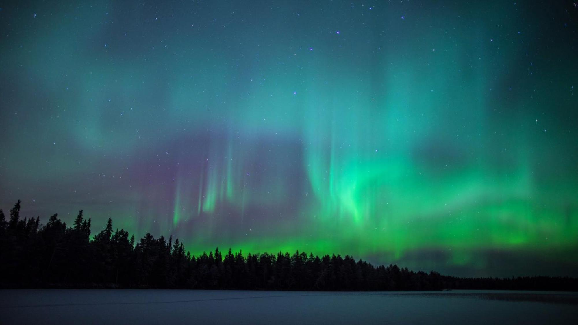 Willa Skog Aurora Igloos Kalix Zewnętrze zdjęcie